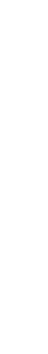 White Yael James signature logo on a transparent background.